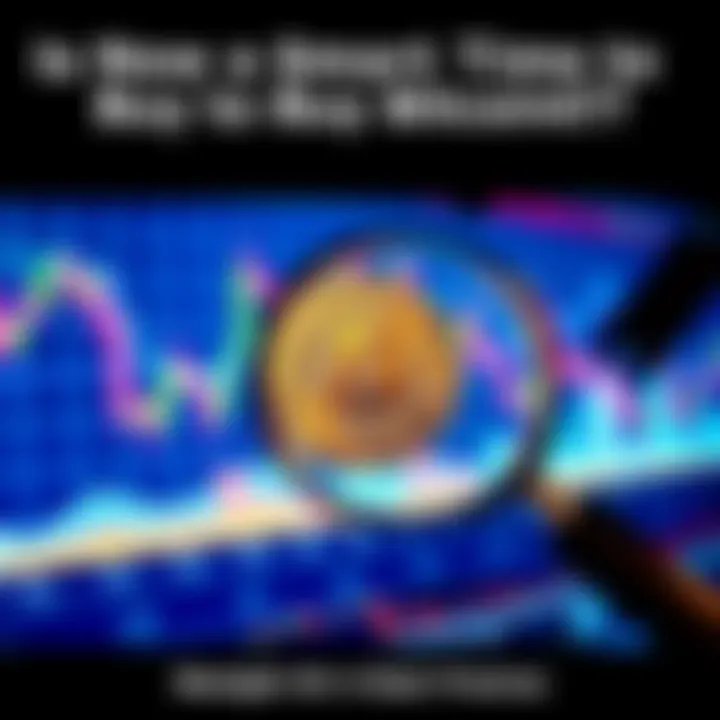 A graph showing Bitcoin price trends with a magnifying glass, indicating market analysis for potential investors.