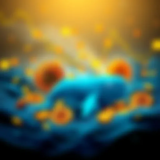 A graphic showing Bitcoin value stabilizing with whale icons offloading coins