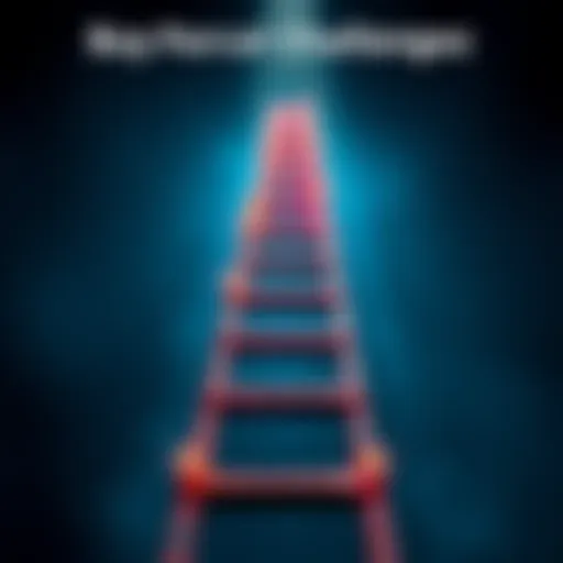 A graphic showing a ladder with various Buy Parcals challenges highlighted at different levels, illustrating the competition and strategies involved.