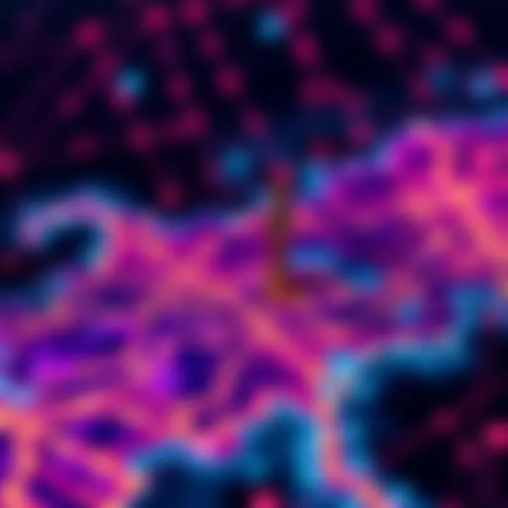 Cardano's DApp Discovery Issue Resolved: Top Ecosystem Maps | BlockNuggets