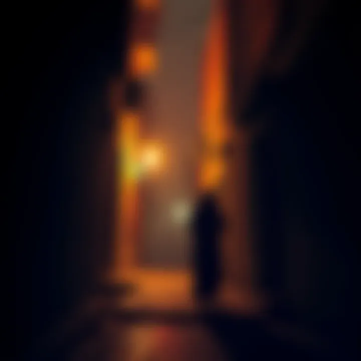 Crypto Millionaire Kidnapping Scene A dark alley in the UAE where a couple was reportedly kidnapped, with shadows and figures suggesting a criminal act