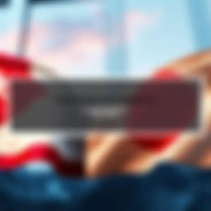 A graphic showing the flags of the Czech Republic and Japan with text overlay about translator opportunities.