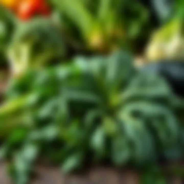 A variety of fresh green vegetables including spinach, kale, and broccoli on a wooden table.