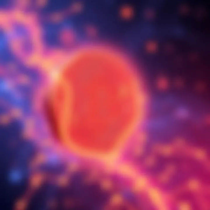 Nolus Introduces IBC Solray Visual representation of Nolus's IBC Solray protocol enhancing Solana's interoperability with other blockchains