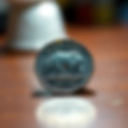 A shiny toonie featuring a bear design, placed on a wooden table. The coin glints under light, showing details of the bear and the coin's edge.