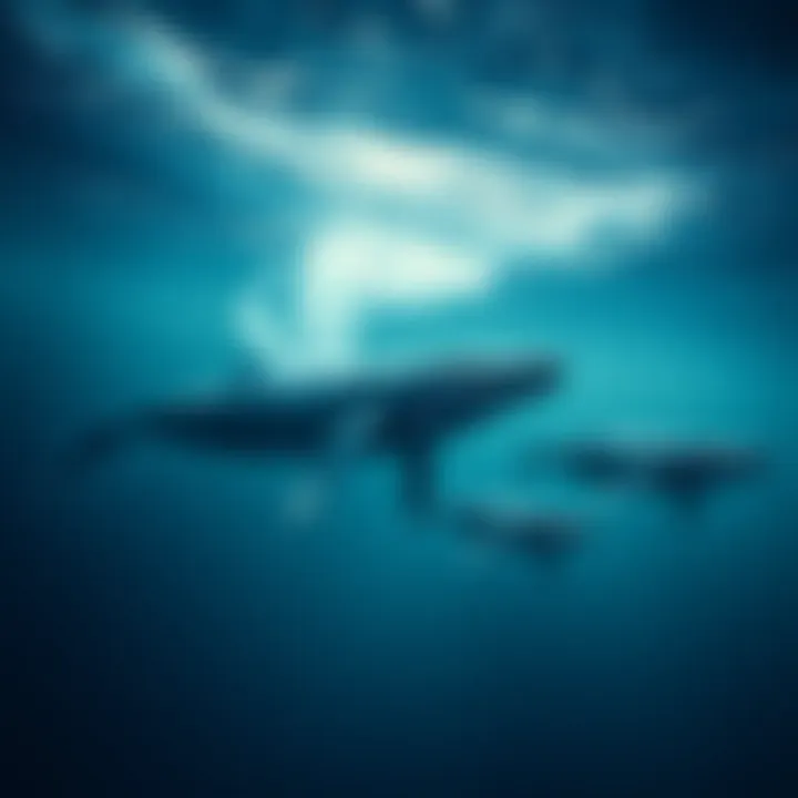 Whale Impact on Bitcoin A depiction of whales swimming symbolizing large investors selling Bitcoin, creating market pressure.